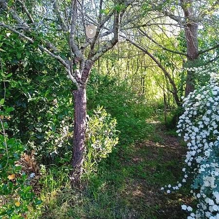 Le Jardin D'anna